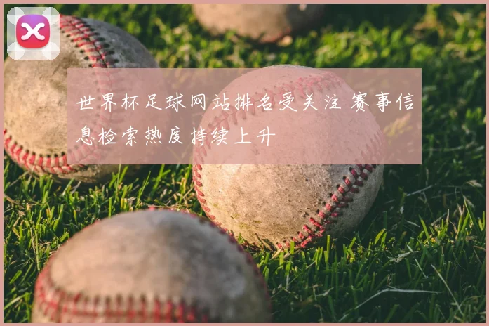 世界杯足球网站排名受关注 赛事信息检索热度持续上升